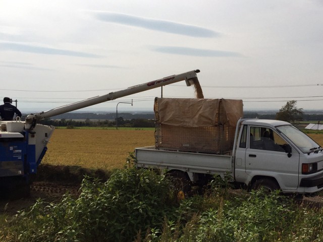 コンバインで収穫した米を道沿いに置いた鉄コンテナに直接投入。そのまま乾燥機ホッパーに。| メッシュコンテナ