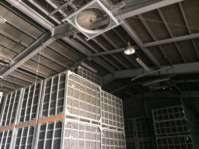 鉄コンテナで集荷した馬鈴薯。JA倉庫で風を当てて貯蔵。| スチールコンテナ