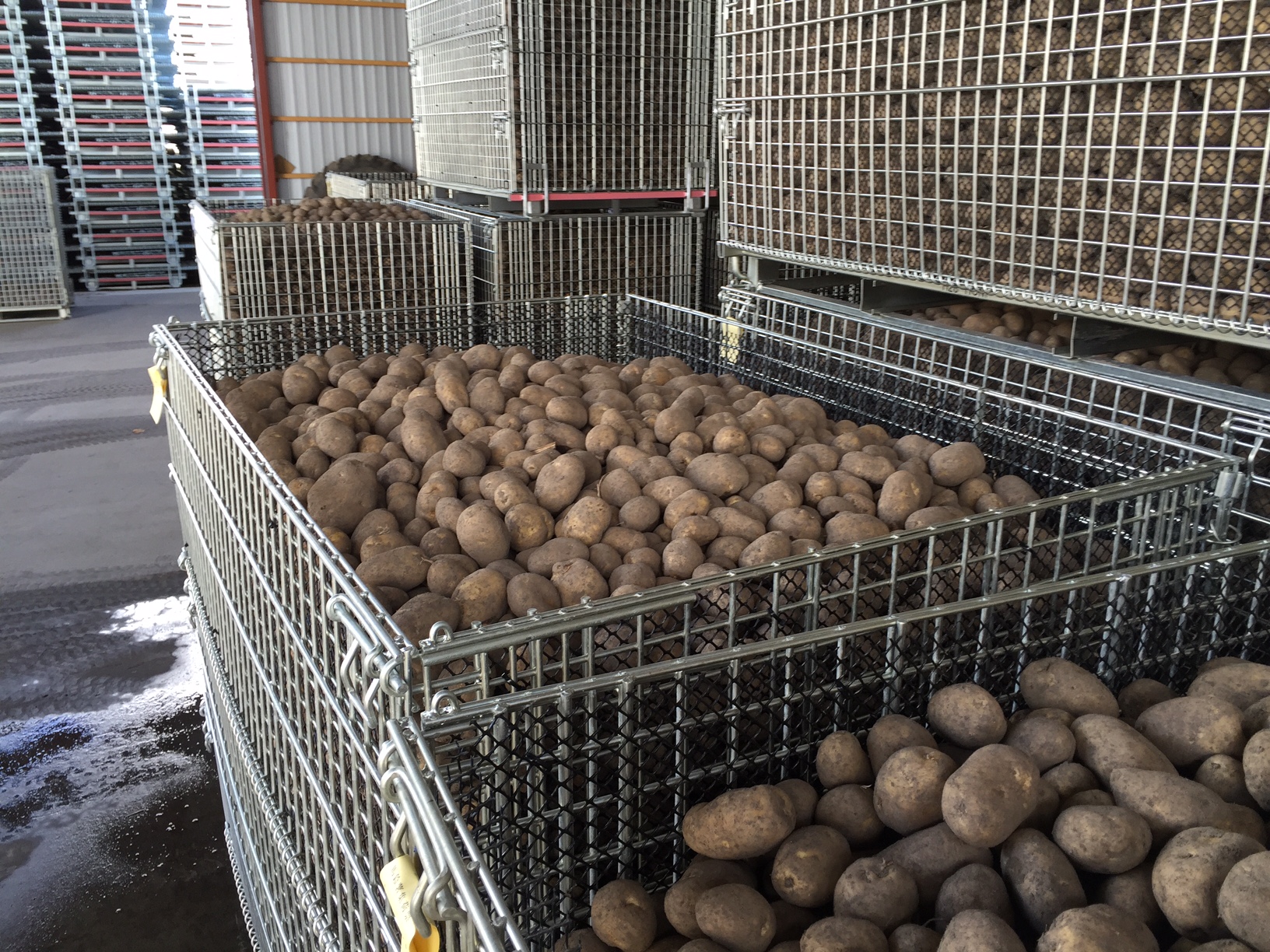 鉄コンテナフォトギャラリー | 貯蔵 | 加工馬鈴薯の収穫。組立て