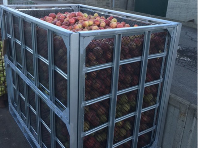 加工用リンゴを鉄コンテナで集荷し一時貯蔵。集荷時の仮置き風景 | スチールコンテナ