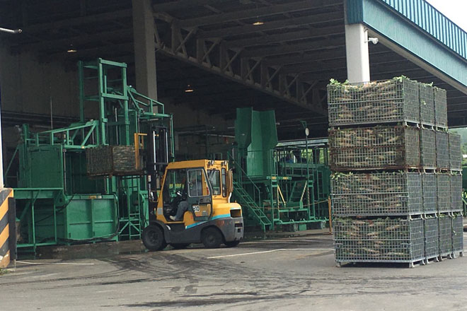 収穫した大根を鉄コンテナで集荷し洗浄ラインに投入 | メッシュコンテナ