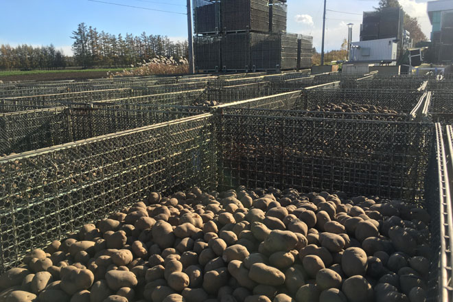 収穫した馬鈴薯　メッシュタイプの鉄コンテナM-1 | メッシュコンテナ