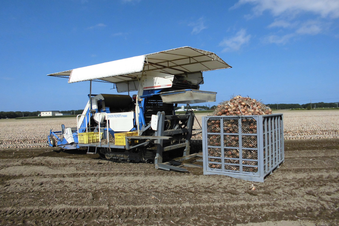 玉葱の機械収穫 | スチールコンテナ