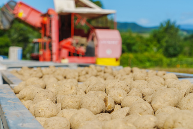 馬鈴薯の機械収穫 | スチールコンテナ
