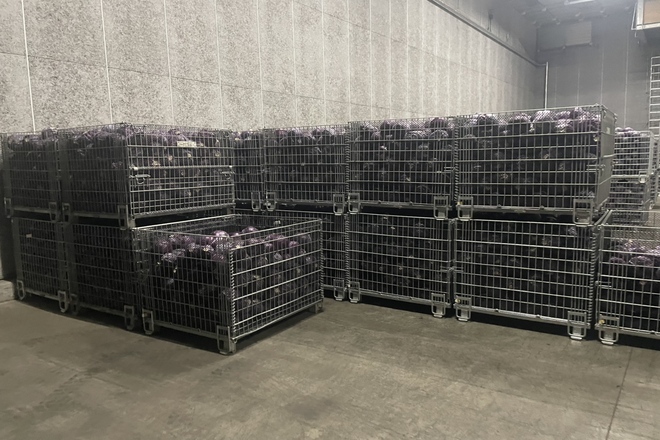 南瓜の貯蔵 | メッシュコンテナ